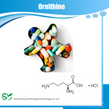 Ornithine 3184-13-2